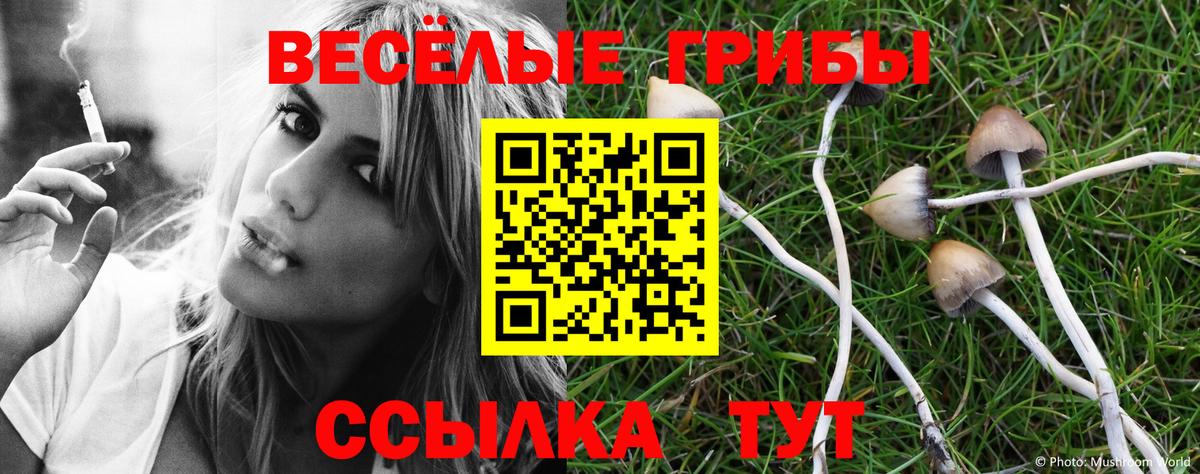 Галлюциногенные грибы MAGIC MUSHROOMS  магазин продажи наркотиков  Галлюциногенные грибы Magic Shrooms  Заречный  Вход с VPN 